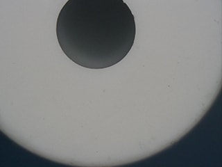Microscopio convencional