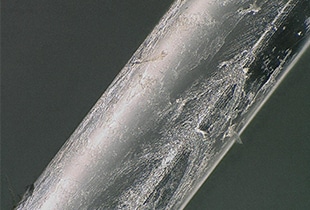 Observación de fibras ópticas utilizando un Microscopio Digital