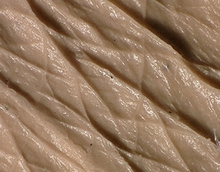 Imagen de la textura de la piel con iluminación múltiple (réplica de la piel)