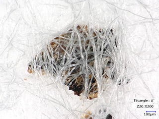 Partícula extraña en un hisopo de algodón (200×)