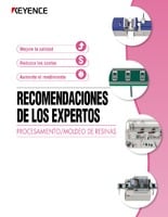 Recomendaciones de Los Expertos [Procesamiento/Moldeo de Resinas]